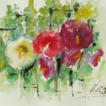 LES PLUS BELLES Nouveauté