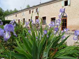 Au jardin près de l'océan 1