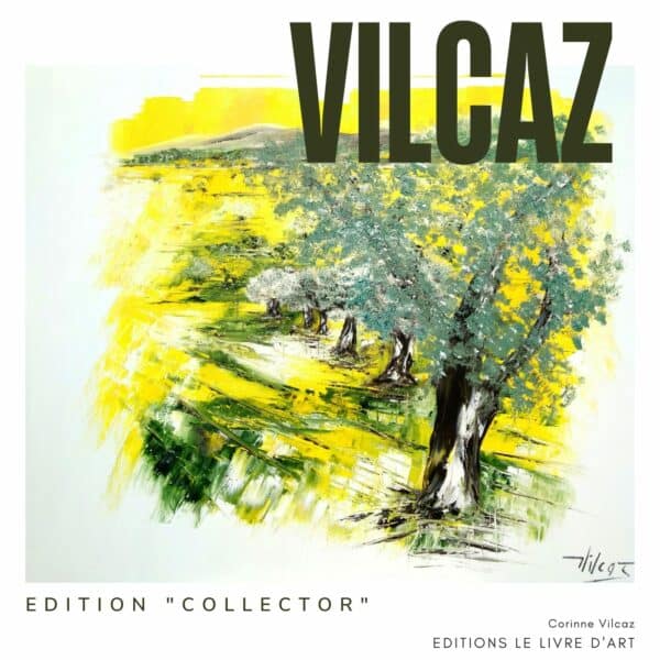 Livre d'artiste ART'NIVERSAIRE 25 ANS DE CARRIERE VILCAZ. Edition collector. Série limitée