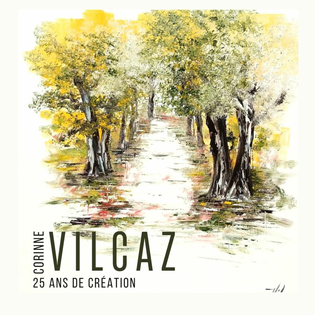 Livre d'Artiste Vilcaz "Collector" 25 ans de carrière