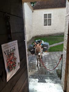 Expo Vilcaz au Château de Ste Foy d'Anthé reçoit une visiteuse improbable !