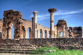 Volubilis 5