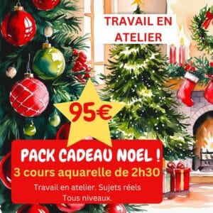 Pack cadeau Noël aquarelle à l'atelier Vilcaz